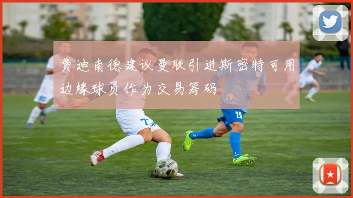 费迪南德建议曼联引进斯密特可用边缘球员作为交易筹码