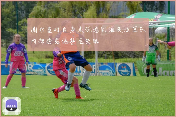 谢尔基对自身表现感到沮丧法国队内部透露他甚至失眠